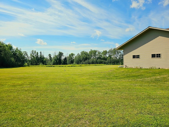 view of yard