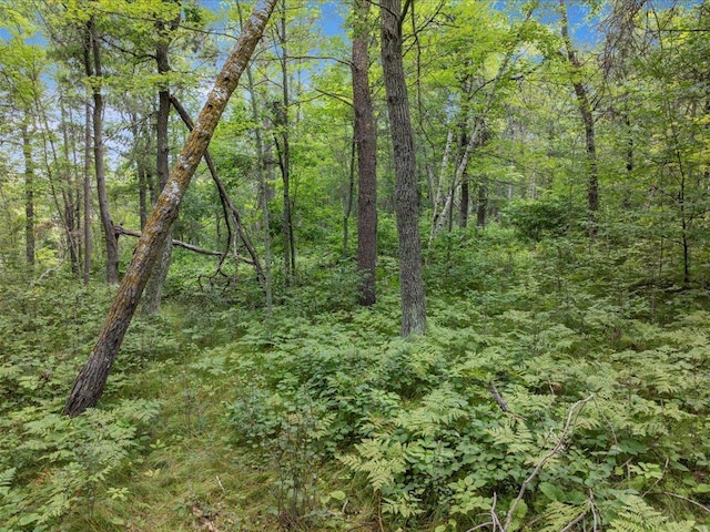 LOT11-12-13 Catskill Dr, Breezy Point, MN 56472