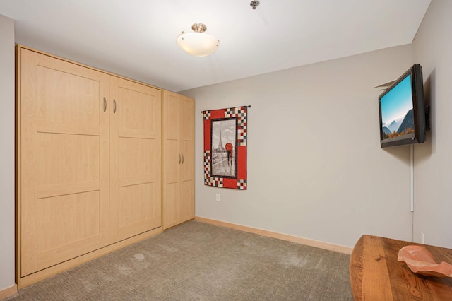 unfurnished bedroom featuring carpet and a closet