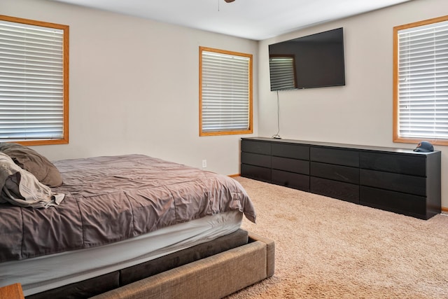 bedroom with a ceiling fan and carpet