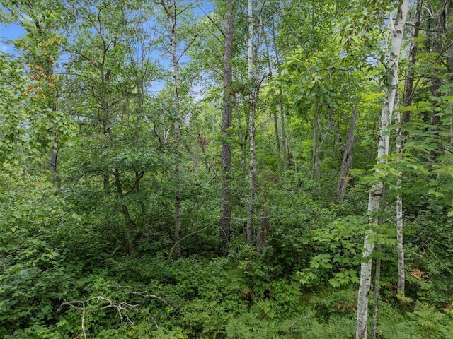 Listing photo 3 for LOT7-8-9 Shasta Dr, Breezy Point MN 56472