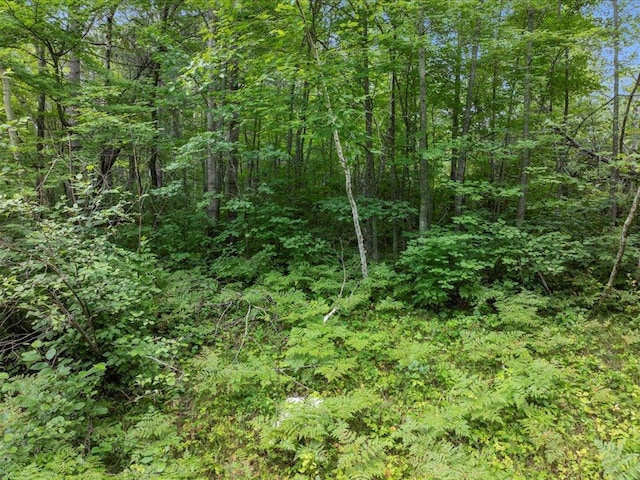 Listing photo 2 for LOT7-8-9 Shasta Dr, Breezy Point MN 56472