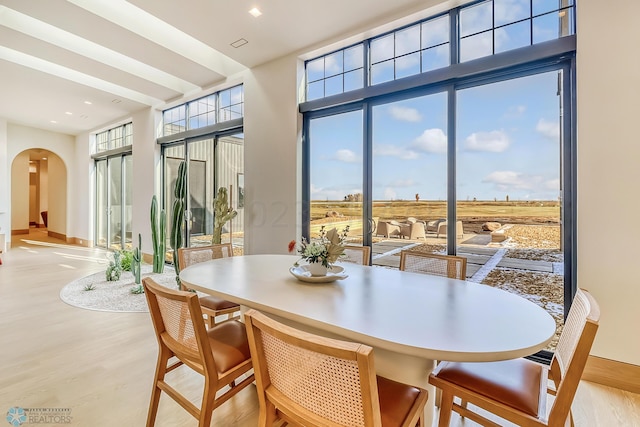 dining space with arched walkways, light wood-style floors, a healthy amount of sunlight, and baseboards