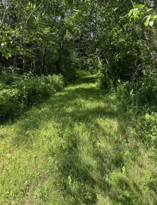 Listing photo 3 for XXXX County Road 14, Grand Marais MN 55604