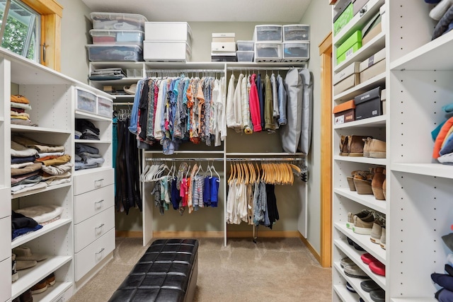 spacious closet featuring carpet flooring