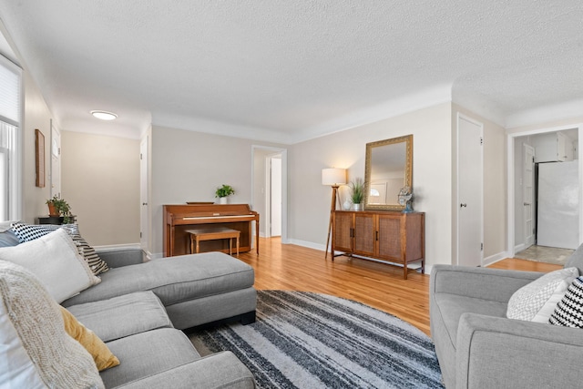 living room with a textured ceiling and light hardwood / wood-style flooring