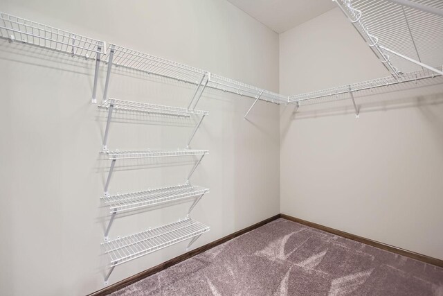 spacious closet with carpet floors