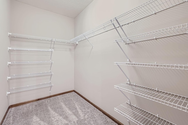 spacious closet featuring carpet flooring