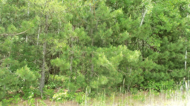 Listing photo 3 for LOT6 Maple Ln, Meenon Twp WI 54872