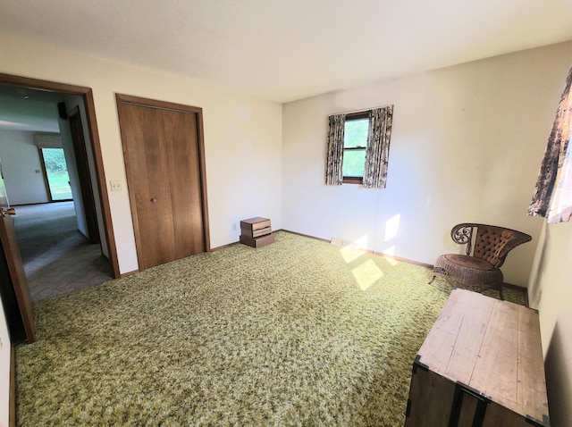 carpeted bedroom featuring a closet