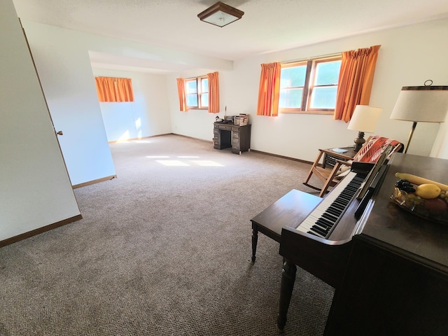 sitting room featuring carpet flooring