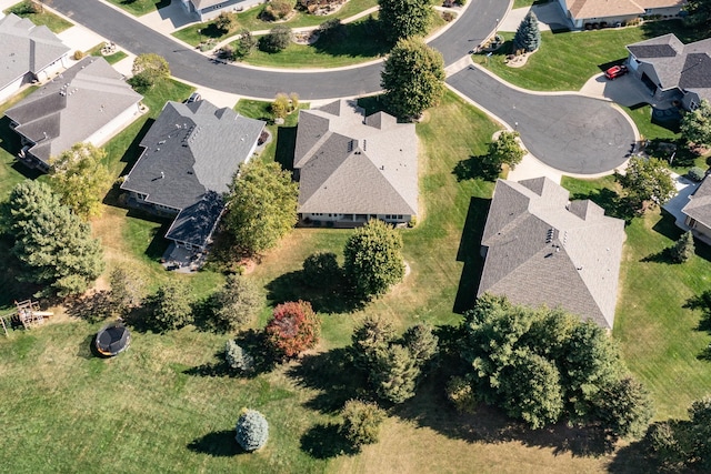 bird's eye view