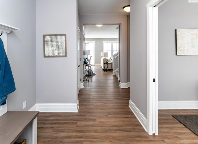 corridor with dark hardwood / wood-style floors