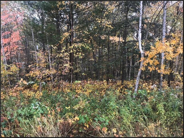 LOT113 162nd Ave, Apple River Twp WI, 54810 land for sale