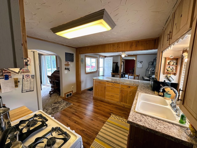 kitchen featuring ceiling fan, sink, dark wood-type flooring, kitchen peninsula, and white gas range oven