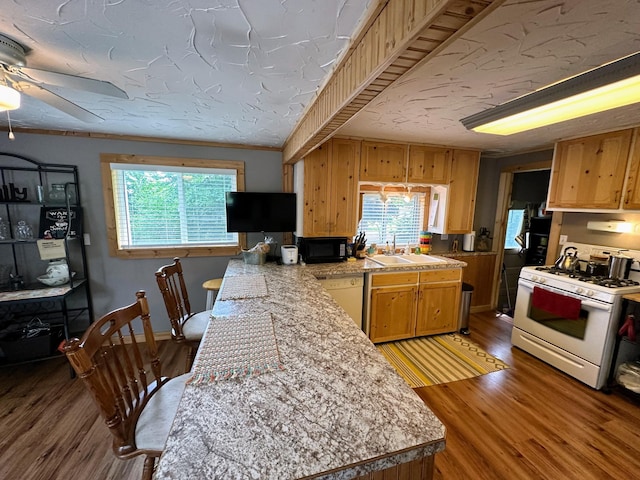 kitchen featuring ceiling fan, dishwasher, crown molding, wood-type flooring, and white gas range oven