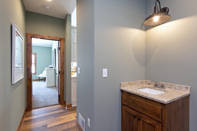 bathroom featuring vanity and wood-type flooring