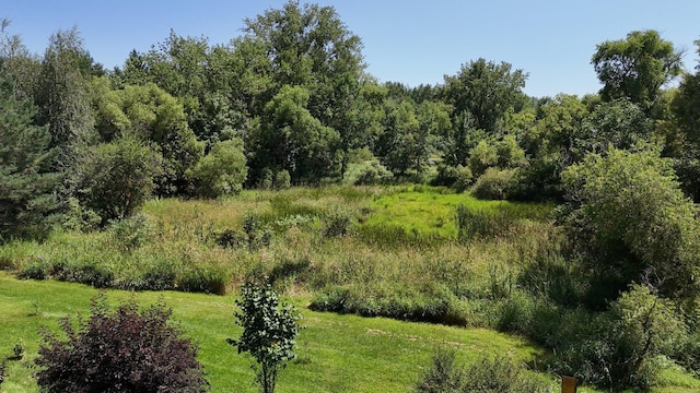 3191 Crestwood Dr NE, Alexandria, MN 56308 - photo 103