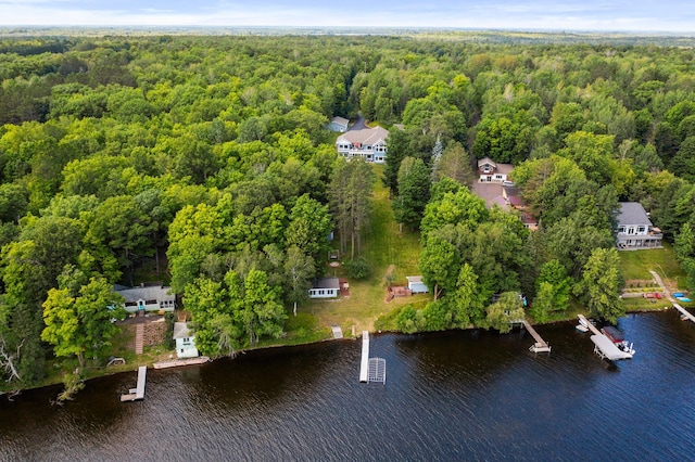 bird's eye view featuring a water view and a wooded view