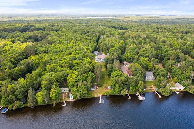 birds eye view of property featuring a water view and a wooded view