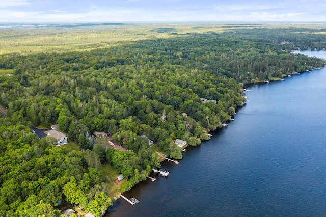 aerial view with a water view and a wooded view