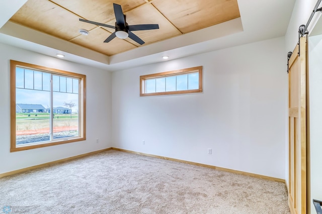 spare room with a barn door, a tray ceiling, and a wealth of natural light