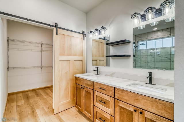 bathroom with hardwood / wood-style flooring and vanity