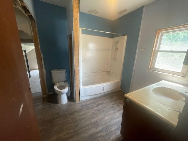 bathroom featuring vanity, toilet, and wood-type flooring