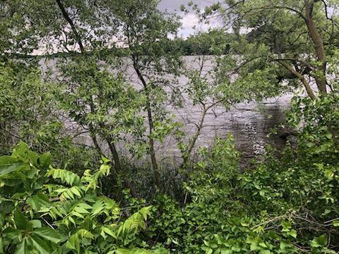 - 106th Avenue Ne, Spicer, MN 56201