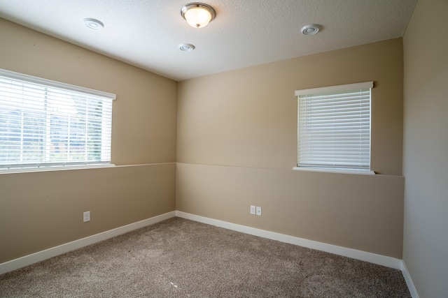 spare room featuring carpet flooring and a textured ceiling