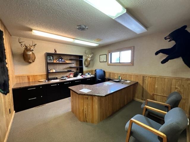 carpeted home office featuring a textured ceiling