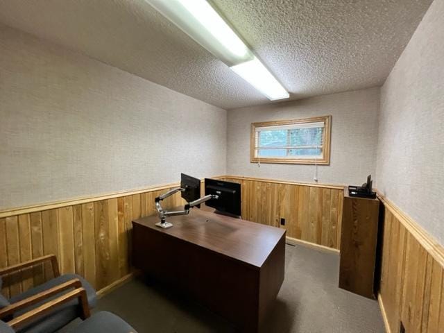 carpeted home office featuring a textured ceiling and wood walls