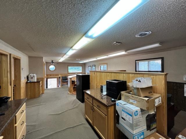 basement with light colored carpet and a textured ceiling