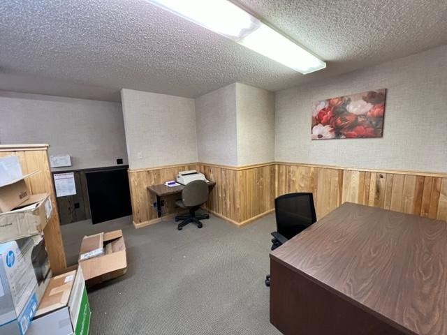 office space with light colored carpet, a textured ceiling, and wood walls