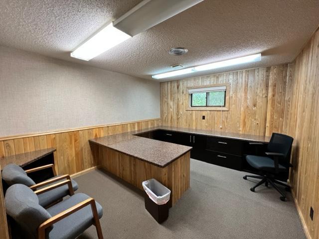 carpeted office featuring a textured ceiling and wooden walls