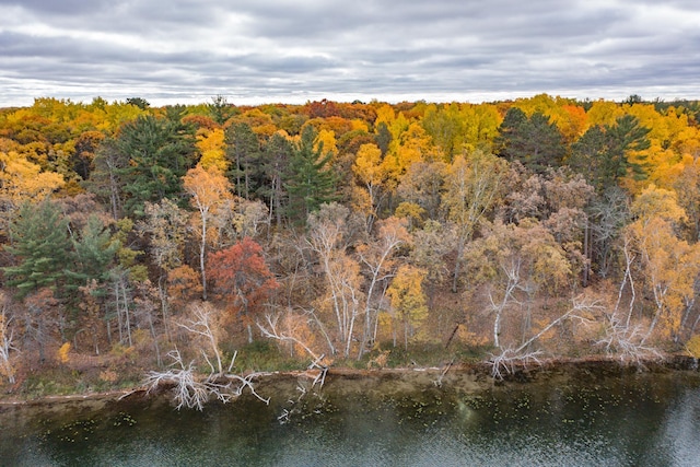 Listing photo 2 for TBD Strawberry Lake Rd, Pequot Lakes MN 56472