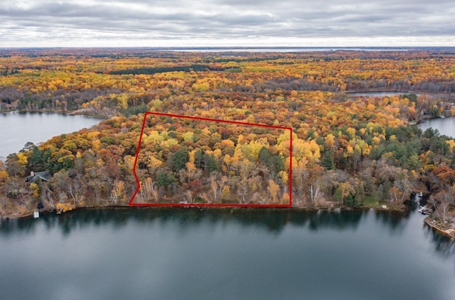 Listing photo 3 for TBD Strawberry Lake Rd, Pequot Lakes MN 56472