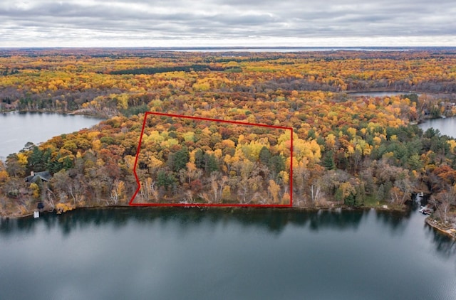 TBD Strawberry Lake Rd, Pequot Lakes, MN 56472 - photo 3
