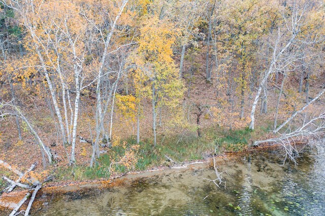 TBD Strawberry Lake Rd, Pequot Lakes, MN 56472 - photo 7