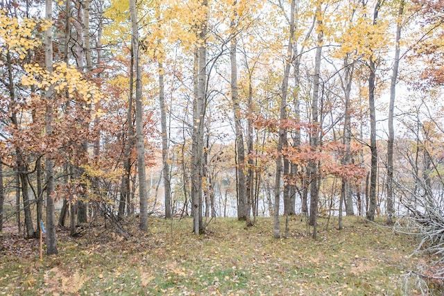 TBD Strawberry Lake Rd, Pequot Lakes, MN 56472 - photo 8