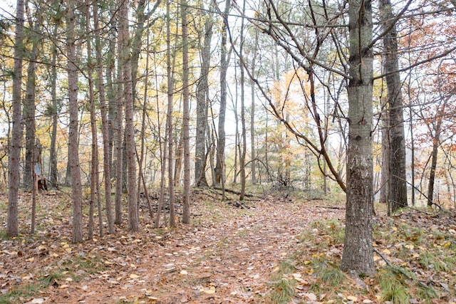 TBD Strawberry Lake Rd, Pequot Lakes, MN 56472 - photo 9