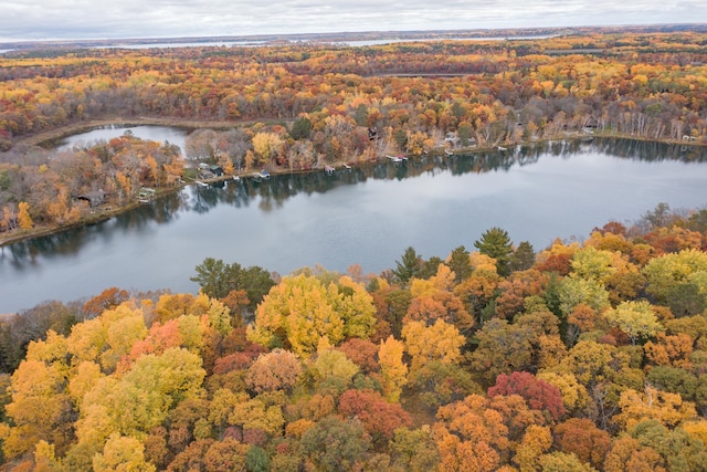 TBD Strawberry Lake Rd, Pequot Lakes, MN 56472 - photo 10