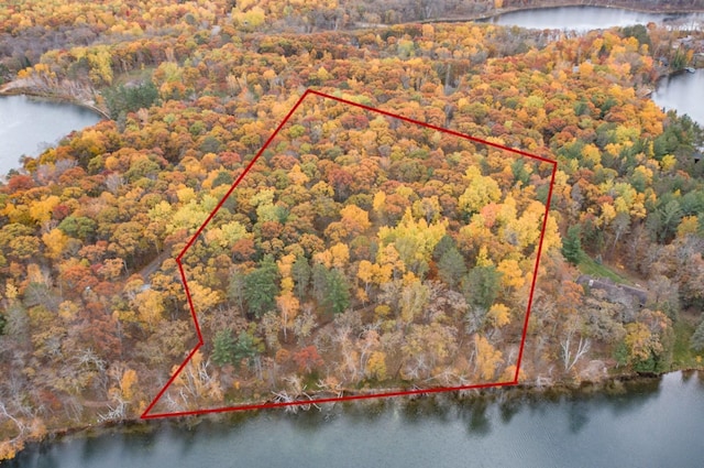 TBD Strawberry Lake Rd, Pequot Lakes, MN 56472 - photo 13