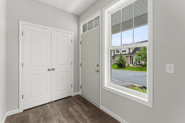 entrance foyer featuring dark wood-type flooring