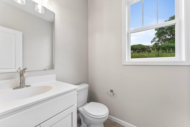 bathroom with vanity, toilet, and wood-type flooring