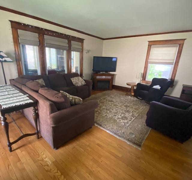 living room featuring light hardwood / wood-style floors, ornamental molding, and a fireplace