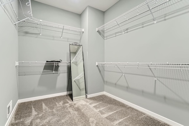 spacious closet featuring carpet