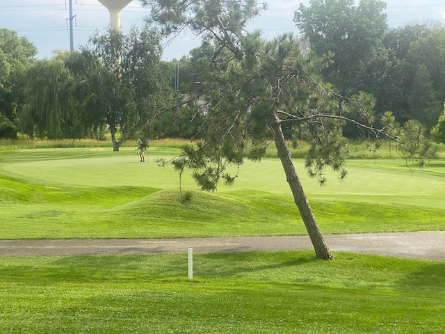 view of community featuring a lawn