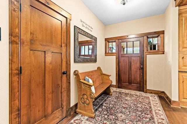 foyer featuring baseboards, dark wood-style floors, and a wealth of natural light