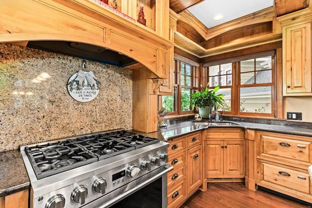 kitchen with stainless steel stove, dark wood-style floors, tasteful backsplash, custom range hood, and a sink